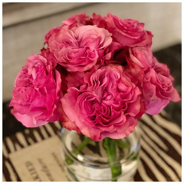 Garden roses for the win on this cold, rainy, quiet Monday. ift.tt/3biP35J