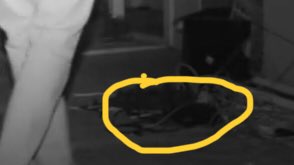 WhitmireKayla's tweet photo. @cjfaison I don't know if you can see that thing laying in the floor but that's what that noise was https://t.co/qdcVxnkvT9
