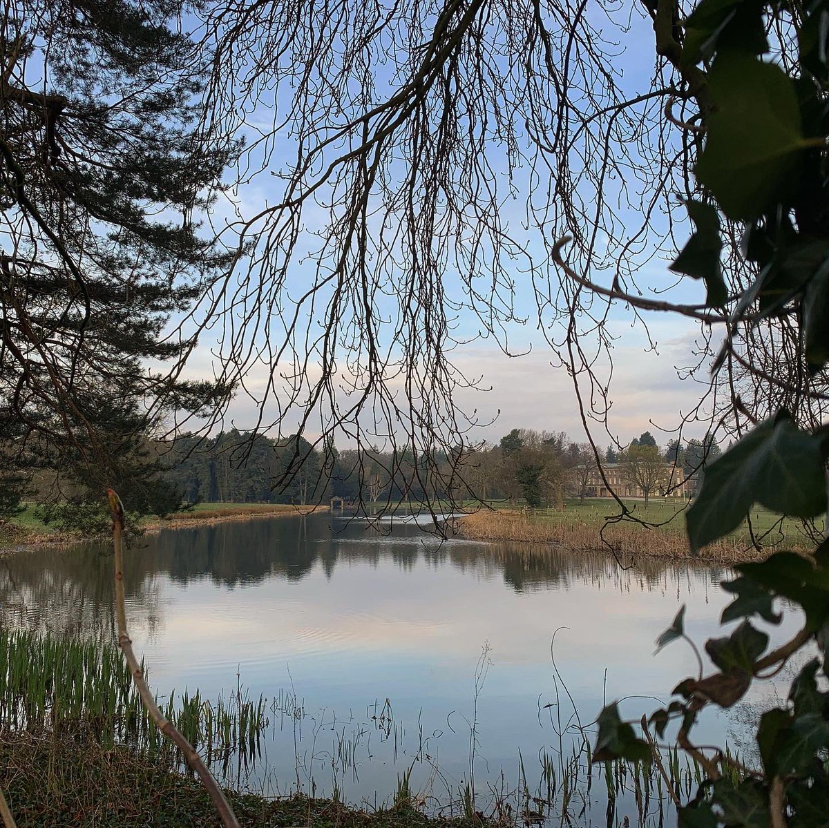 forestbathinguk's tweet photo. Itβs not often I take my phone for a walk but I felt this morning I wanted to share. Studies tell us that even looking at pictures of the natural world has a soothing and calming effect on our minds #forestbathing #forestbathinguk #connectinnature #thenatureremedy #covid_19 https://t.co/BfDAbBLfFf