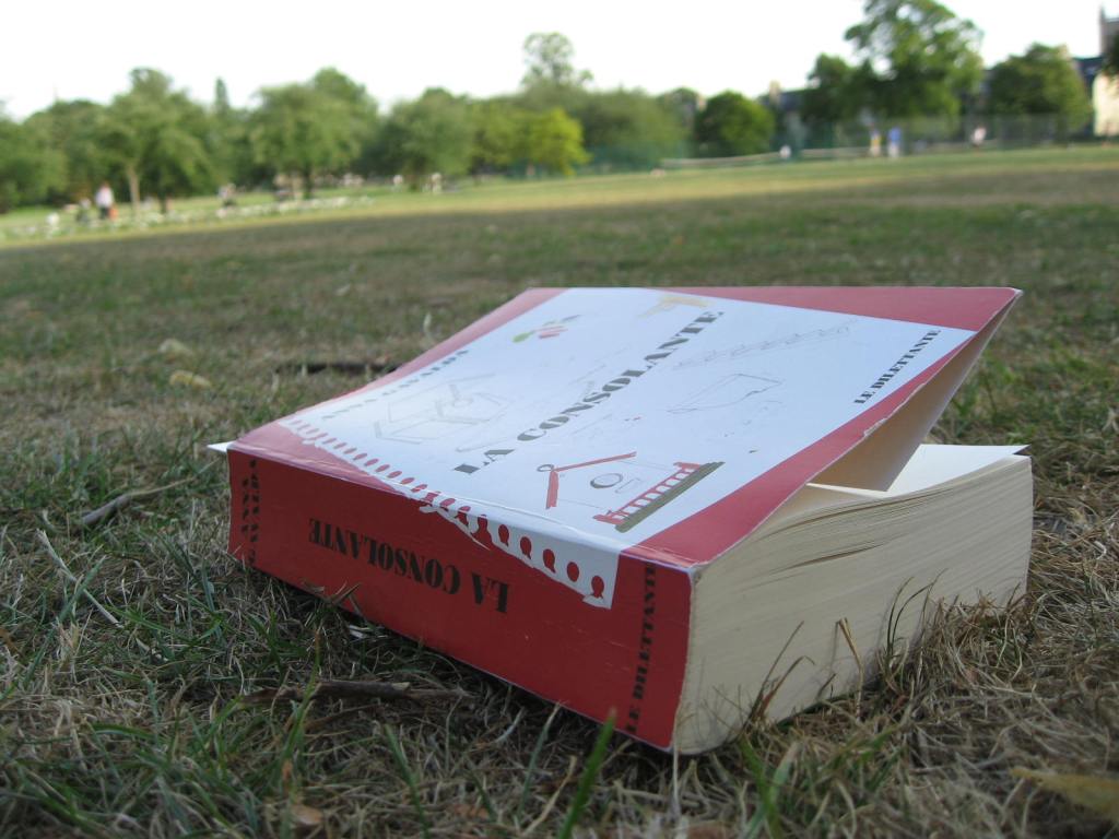 Idées anti-ennui spéciales Confinement #3 unpoissonnommemarcel.wordpress.com/2020/03/24/ide…