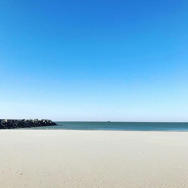 Scheveningen Strand tweet media
