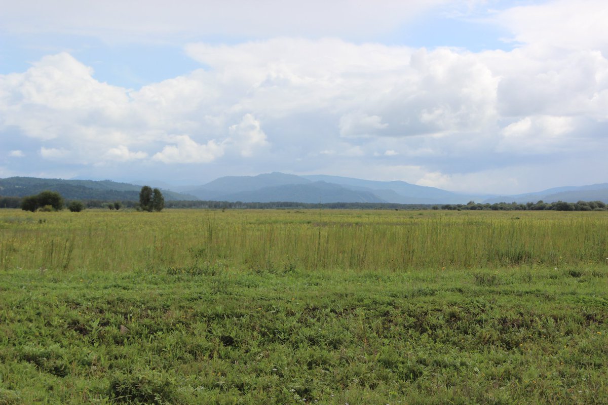 ХАРУУЛ ХҮДЭР 🇲🇳 tweet media