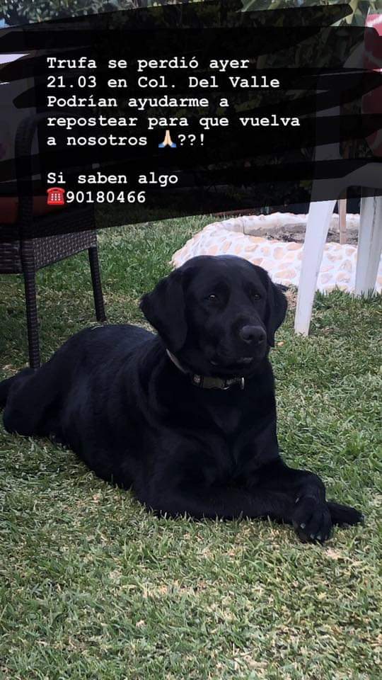 cristina rocha tweet media