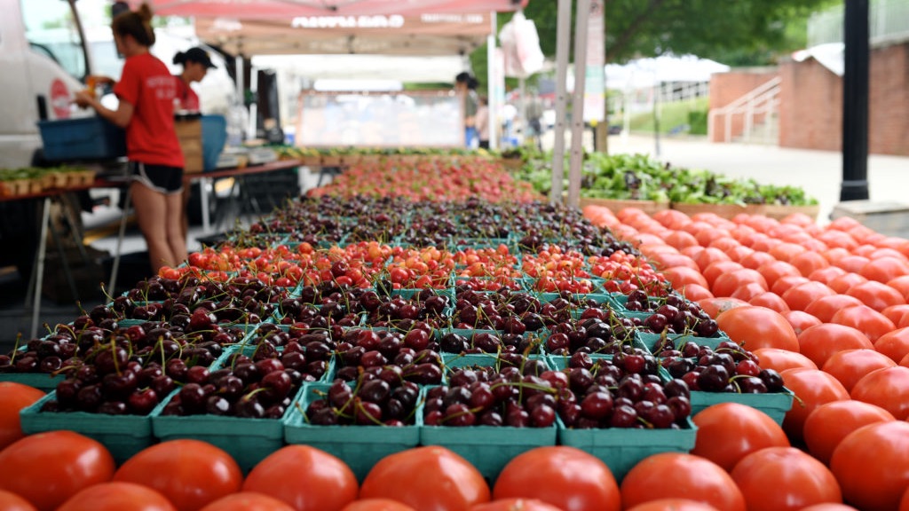 ArlingtonFOUA's tweet photo. Help Us Keep Farmers Markets Open 🍅🍠🌽 - https://t.co/cqaaeuaZMa
Sign our Petition https://t.co/vYJqkNvwaX
#ArlingtonVA #urbanag #BeatCOVID #growlocal #FOUA #supportlocal #farmersmarkets @VAFarmersMkts @freshfarmDC https://t.co/6OQKv78sct