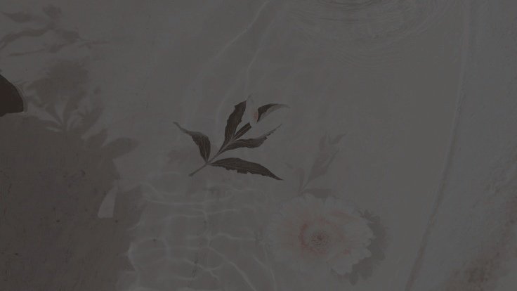 ㅤ
ㅤ
      ❛ ㅤ 𝖺𝗇𝖽 𝗂𝗇 𝗍𝗁𝖾 𝗉𝗈𝖼𝗄𝖾𝗍 𝗈𝖿 𝗆𝗒 𝗃𝖾𝖺𝗇𝗌,
      𝖺𝗋𝖾 𝗈𝗇𝗅𝗒 𝖼𝗼𝗶𝗻𝘀  ˎˊ˗ 
      𝖺𝗇𝖽  ⦅  𖤐. ㅤ𝐁𝐑𝐎𝐊𝐄𝐍 𝐃𝐑𝐄𝐀𝐌𝐒  ⦆   

ㅤ