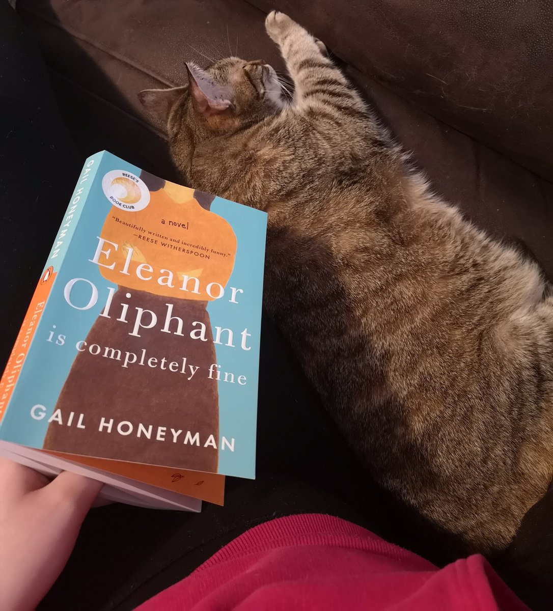 I think this might be one of my favourite books. I'm not sure what I was expecting, but I wasn't expecting to feel so many emotions. I love getting to know the complex being of Eleanor. Highly recommend! Eleanor Oliphant is Completely Fine by Gail Honeyman .5