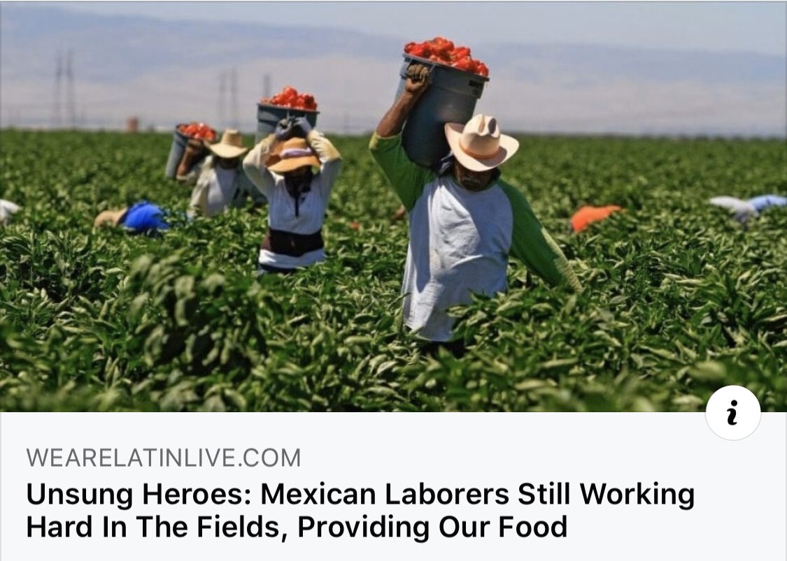 LivingLikeJCR's tweet photo. @realDonaldTrump  Don’t worry America your real backbone is still hard at work. https://t.co/3WLskOd7EF