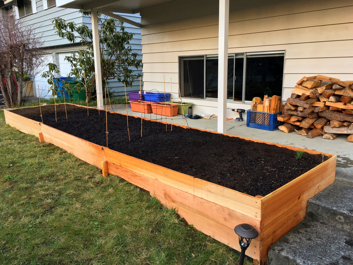FeyalaCat's tweet photo. Used my anxiety as propellant this weekend and built this 18 foot raised bed garden.  Seems like a good year for gardening! 🌱 https://t.co/Egv7xMmVjU
