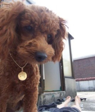 김민교 tweet media
