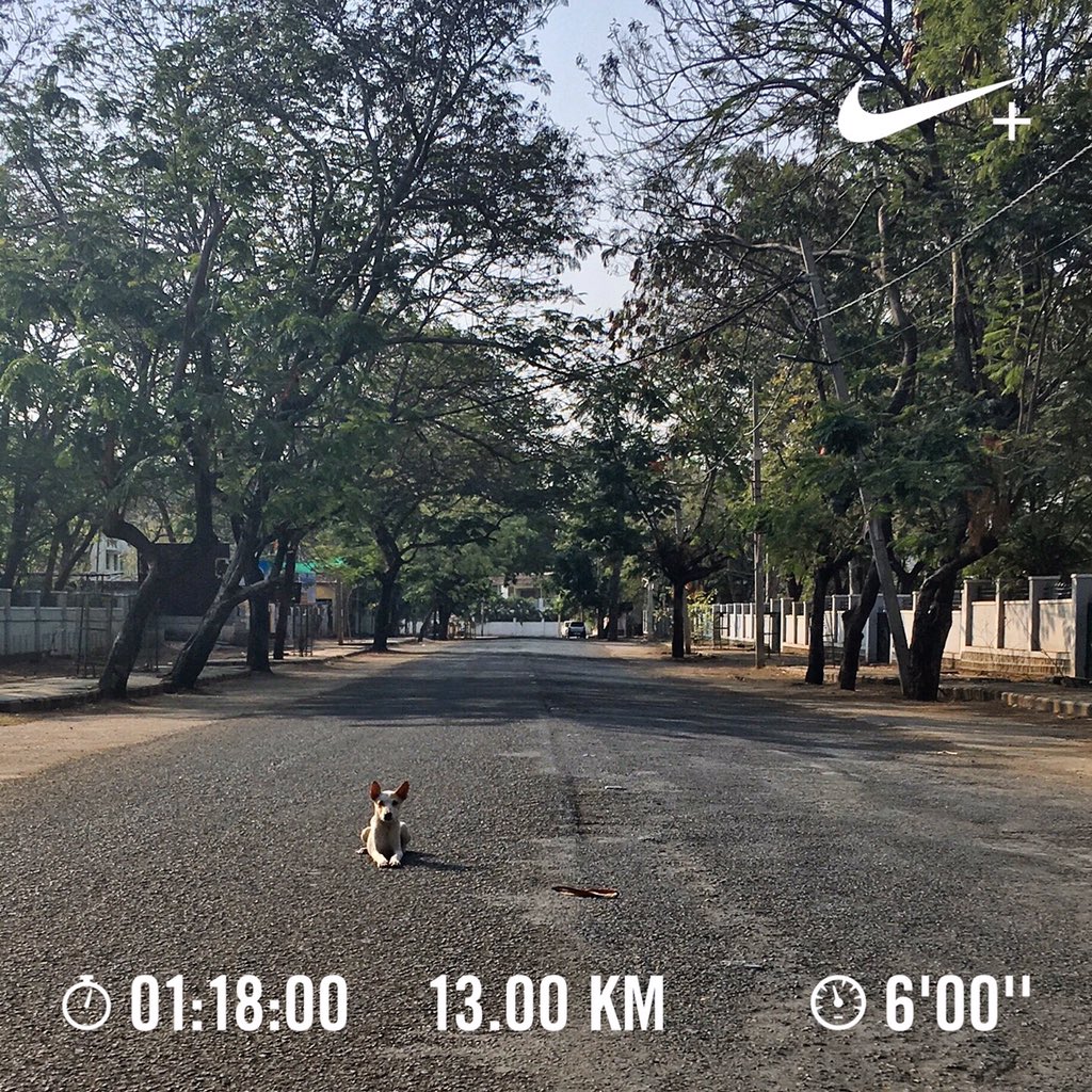 Nithin's tweet image. 7:32 AM: 140 BPM - HR based run. 4 days gap from running and HR/fitness has gone for a toss. Pretty much walk/run after 20 mins to keep the HR at bay. Also, hot AF. How cute is the pupper.

#Runners360 #HRbasedrun #180method #MAFmethod #nike #zoom #vomero14 #dogsofinstagram