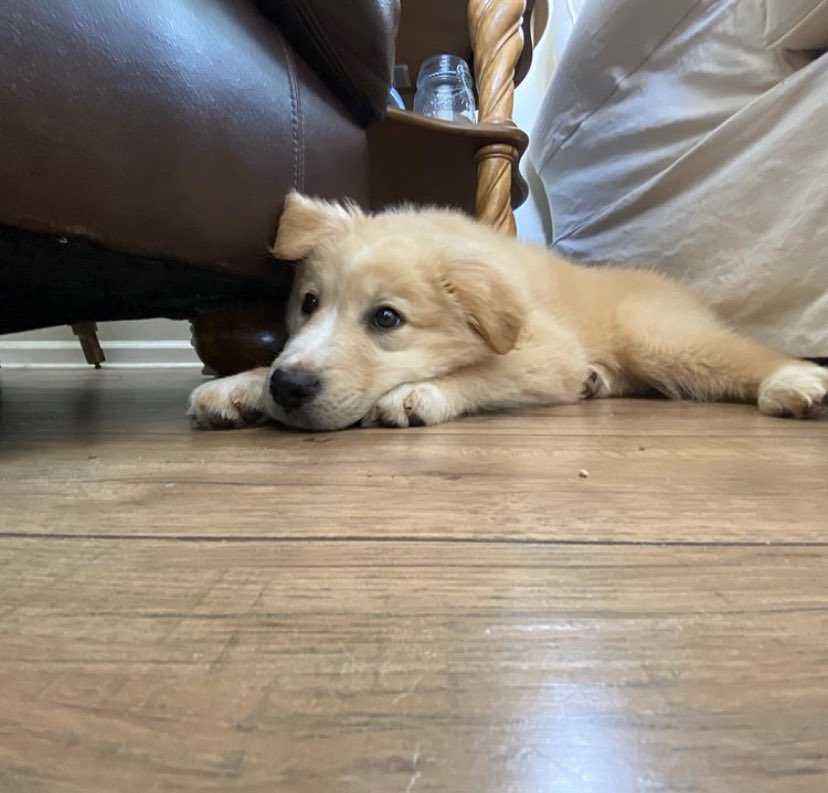 𝕮𝖍𝖗𝖎𝖘𝖙𝖎𝖓𝖆-𝖙𝖔𝖗 tweet media