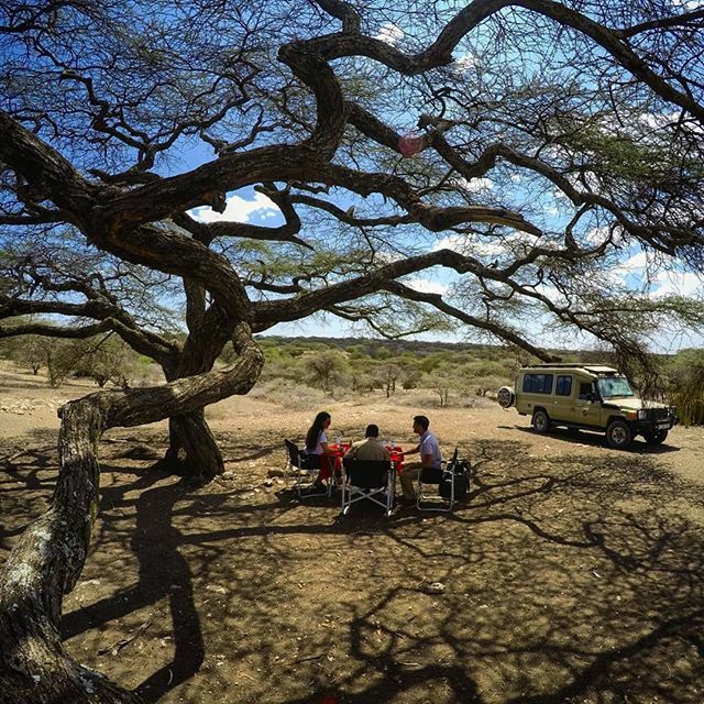EasyTravelTZ's tweet photo. Within the greater Ngorongoro Conservation Area exists the Olduvai Gorge. 😁
.
A steep ravine in the Great Rift Valley where paleoanthropologists Louis and Mark Leakey famously discovered traces of homo habilis, our first known human species, reaching… https://t.co/uY8DUBNGM5 https://t.co/ORWfGx02bW