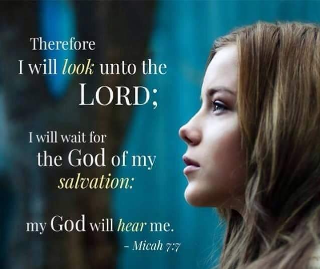 ChandaMoon3's tweet image. 