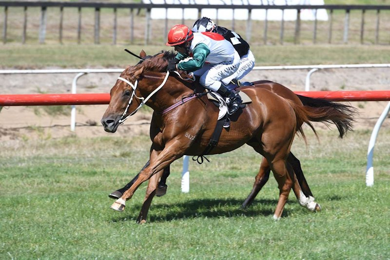 Lot 25 - Metro Winner. Last start winner by All Too Hard who is a half to two winners, and from the family of Gr.1 winner Silvester Lady.

⏰Bidding closes from 7pm Monday, 30 March.
🧐gavelhouse.co.nz/lot/434111/met…