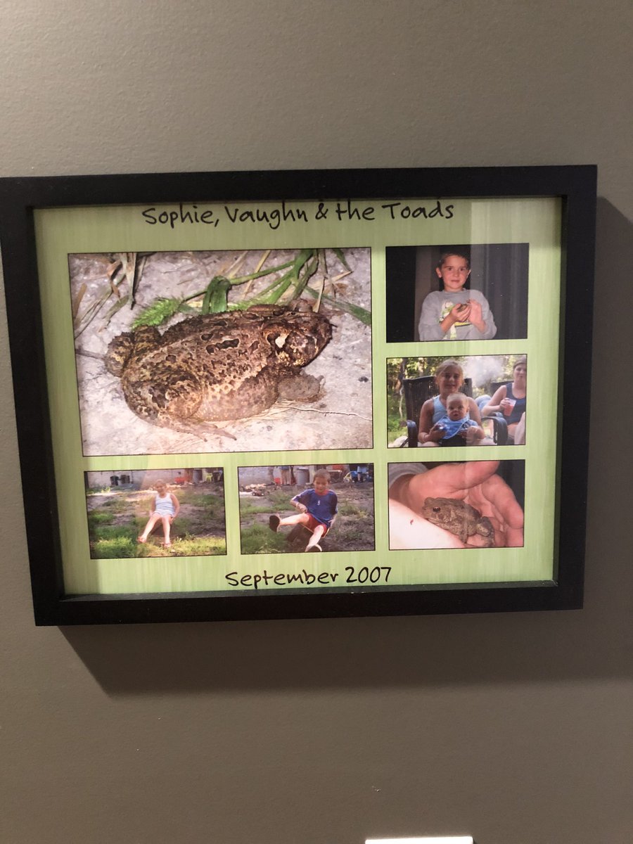 vaughnstuder's tweet photo. Quarantine has got me thinking about a lot of things lately... like why a toad collage has been in my hallway for 13 years?? https://t.co/gHQZExJEf0