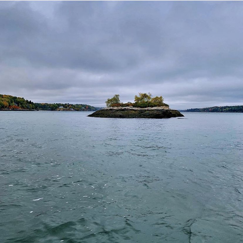 DrPhiltill's tweet photo. My mom grew up here in Maine. This little island was called “Hospital Island”. In the 1700s/1800s, people sick with Typhoid Fever were quarantined on this rock. People would row out to bring them food, but the sick weren’t allowed to come ashore. https://t.co/gQxuiTf8sO