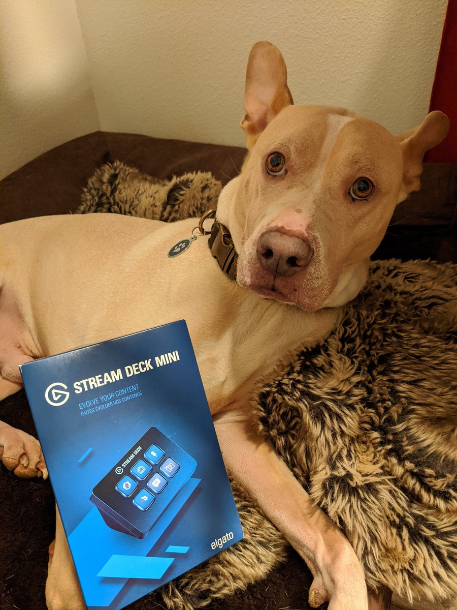 My first StreamGift ❤️
Thank you @amiation - you're the best!
@TeamStreamGifts
#streamgiftspartner #streamgift #twitchstreamer #twitchtv #gamer #elgatogaming #elgato #streamdeck #dogsofinstagram #lgbtqgamers #gaymer