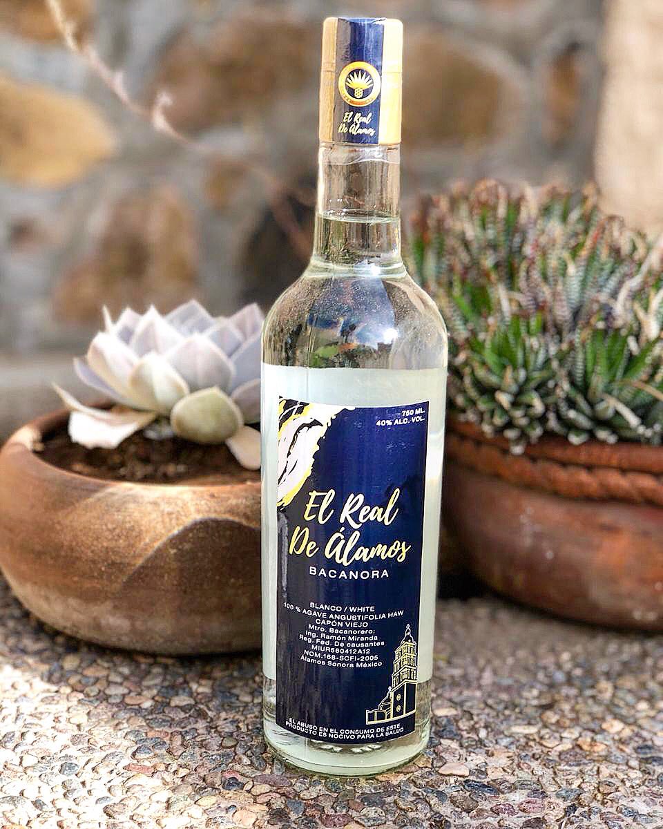 Bastardos del Bacanora tweet media