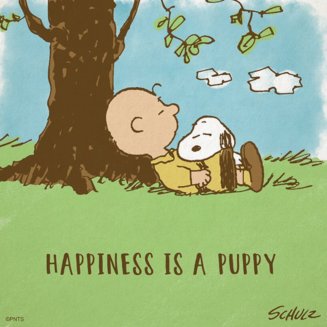 Happiness is having a puppy #NationalPuppyDay