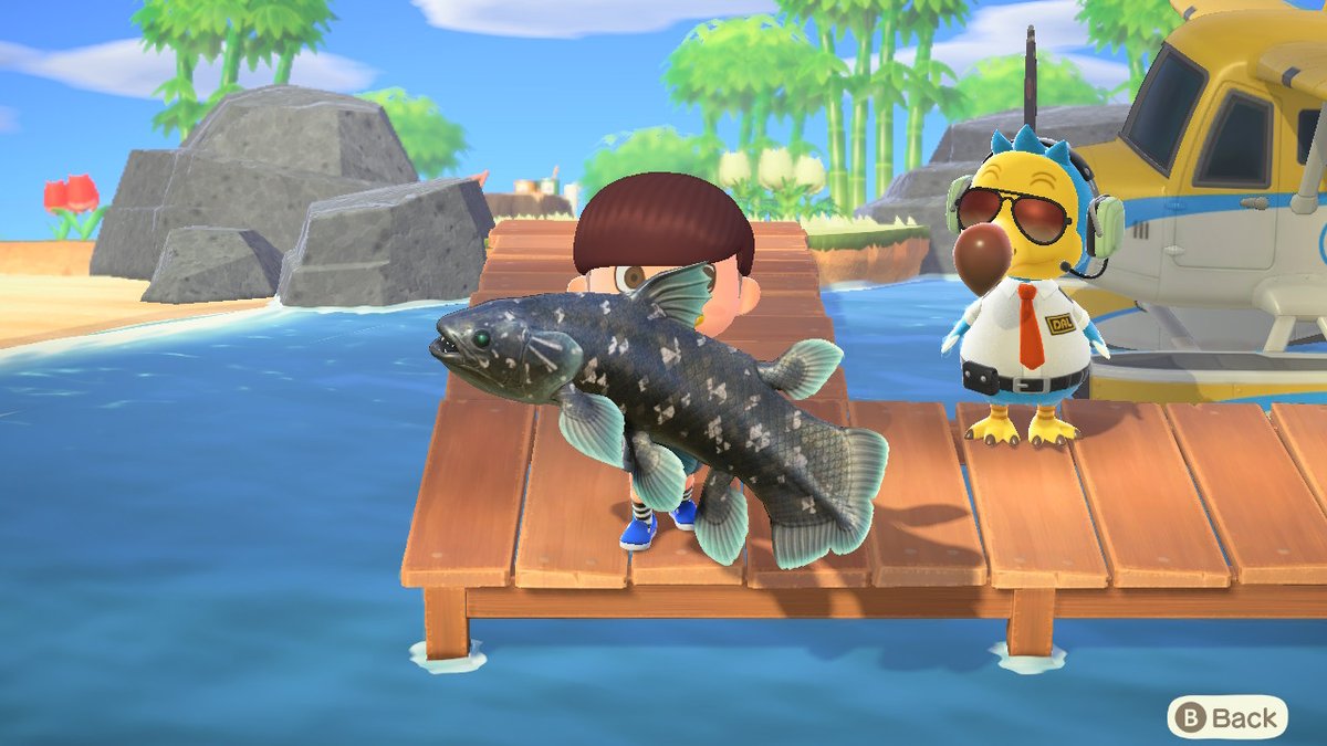 Mistofolees's tweet photo. #AnimalCrossing #ACNH #NintendoSwitch https://t.co/aZSkwdveHU