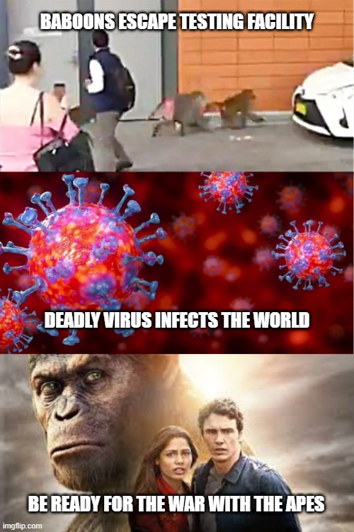 Grae Saunders tweet media