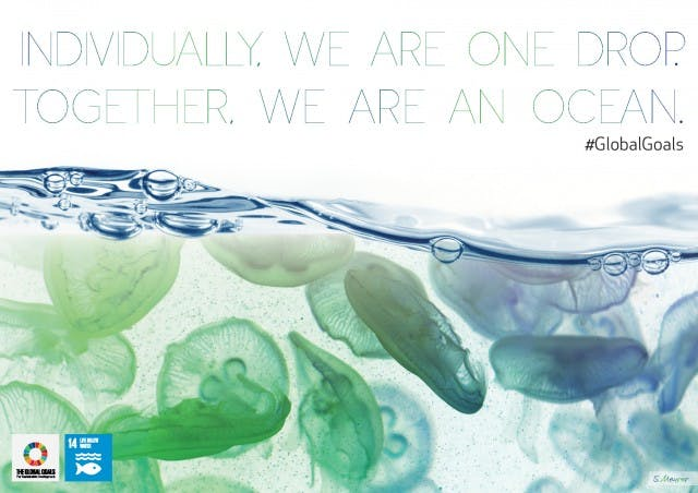 MissTuersley's tweet photo. Together we can make a difference!
If you care about Goal 14 - Life Below Water, share this image and help make the #globalgoals famous  
@TheGlobalGoals

#letsworktogether #jointhediscussion #EDUC4750 #SDG14 #teacher #learner #explorer #UoNTeach  #Lifebelowwater https://t.co/3M6JXKOrVe