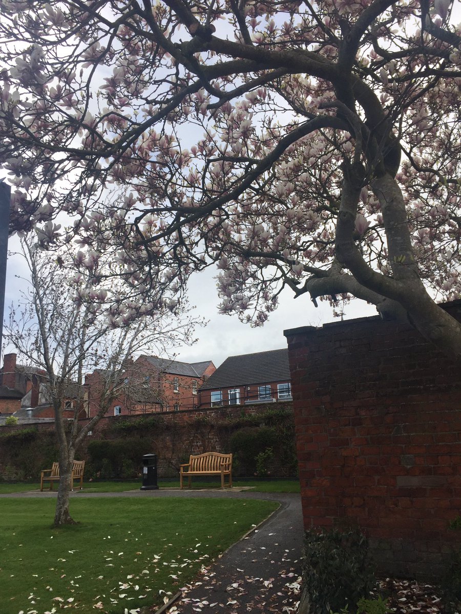 Sadly Cae Glas Park and Castle Bank will be closed until further notice. We will review the decision but it was clear that, in the interest of supporting the Government policy, we had to.