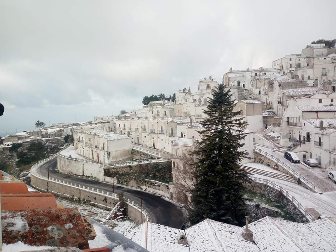 ParcoGargano's tweet photo. ❄ Bianco risveglio per il#Gargano!

🌨Nelle foto Monte Sant'Angelo, Rignano Garganico e San Marco in Lamis🌨.

📸Restate a casa ma scattate foto, e se volete, inviatecele con un messaggio privato sulla pagina !

Buona giornata❄!

#IORESTOACASA🏠

#neve https://t.co/WoqukIXzcN