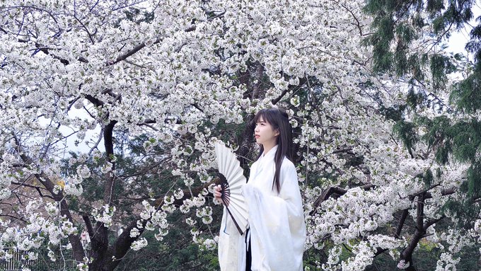 Twitterのコスプレ画像3