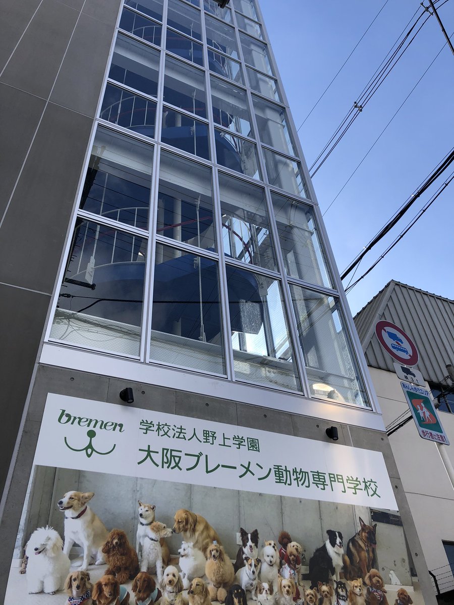神戸ブレーメン動物専門学校 大阪にグループ校ができました 大阪ブレーメン動物専門学校 よろしくお願いします T Co 4astf5gczp さぁ 新しい出発 モデル犬 学生 大募集 初回のオープンキャンパスはこちら T Co