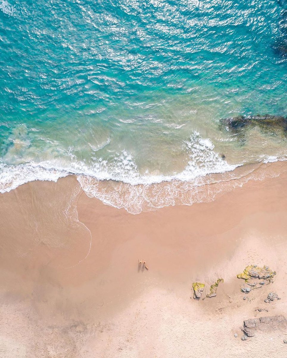 Reef_Chile's tweet image. Hoy es tiempo de cuidarnos en casa. El futuro volverá a hacernos disfrutar del mundo juntos 🌎🌍🌏 streetmachine.cl/c/reef

#BeachFreely #QuedateEnCasa