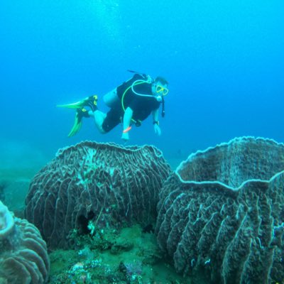 FinancialManage's tweet image. #NewProfilePic