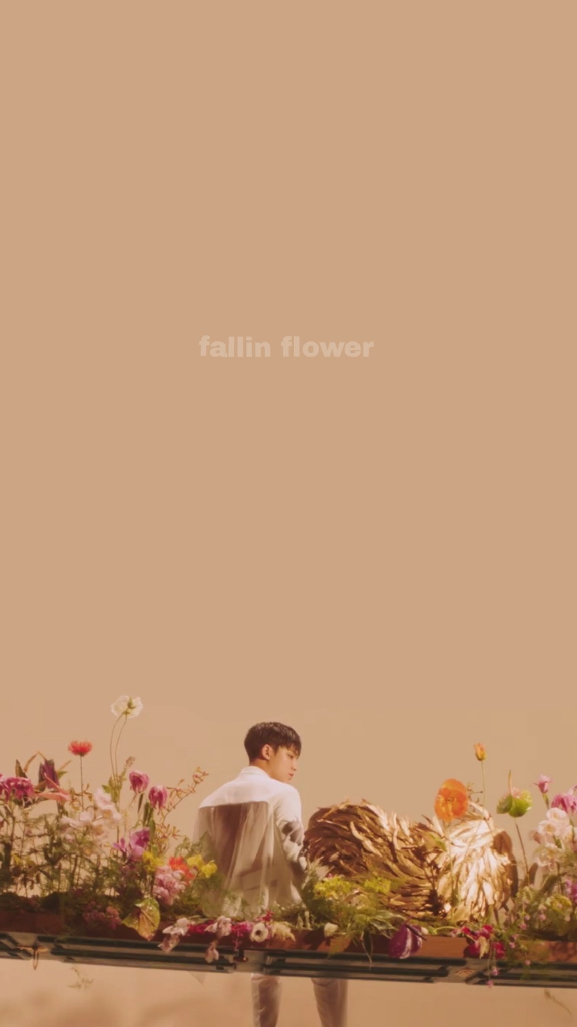 ひまわり Seventeen 壁紙 配布 保存 いいね Rt Fallin Flower 舞い落ちる花びら 良かったら使ってください ᴗ Seventeen セブチ 壁紙 ロック画面 ホーム画 配布 セブチ配布 配布 壁紙加工 T Co Drvpho6r4e