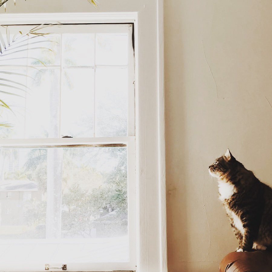greenrmtherapy's tweet photo. #IsolationLife Write a list of all the things you always want to do around the house but never usually have time to do.Make these into a routine over the coming 12 weeks to bring structure to your day. A great way to maintain good mental health. #COVID19 #mentalhealth #anxiety https://t.co/bRdVatEsLC