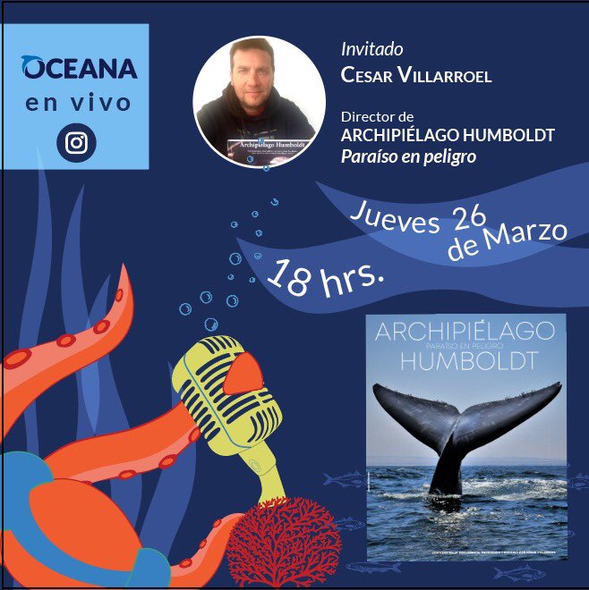 Explorasub tweet media