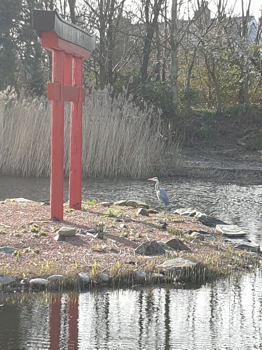 Day 2 of 7 of my life in pictures. No words, people or explanations. Today I nominate <a href="/AmyParkes16/">Amy Parkes</a>