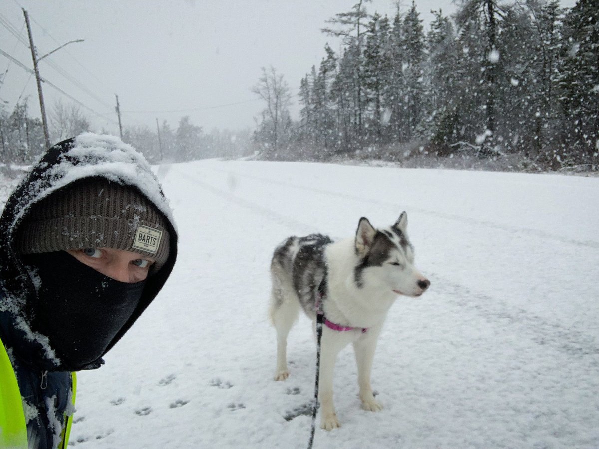 chrisgalton's tweet photo. π³βοΈ#today #tuesday #4km #exercise #novascotia #sprinklrpets https://t.co/6JZvvpJ1ZT