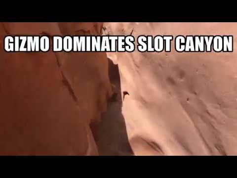 GIZMO DOMINATES SLOT CANYON! Little Wild Horse Canyon, UT! buz.tw/9r5D0