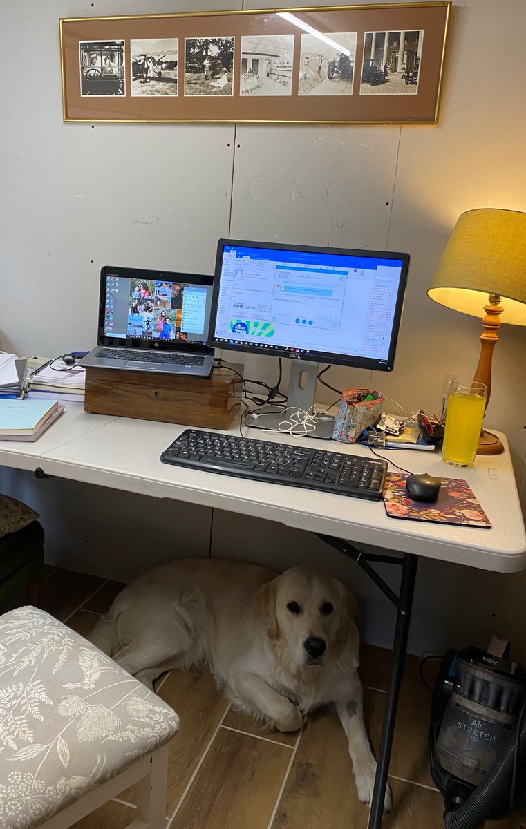 LorettaJFinch's tweet photo. Challenge accepted &amp; I have a new work colleague too!  Homeworking is a good time to look at what self-development is available, Apprenticeships are for everyone, I am your Uni Kent Employee Apprenticeship Manager contact me via email or skype to find out more #UniKentHomeWorking https://t.co/qRu35p4Spy