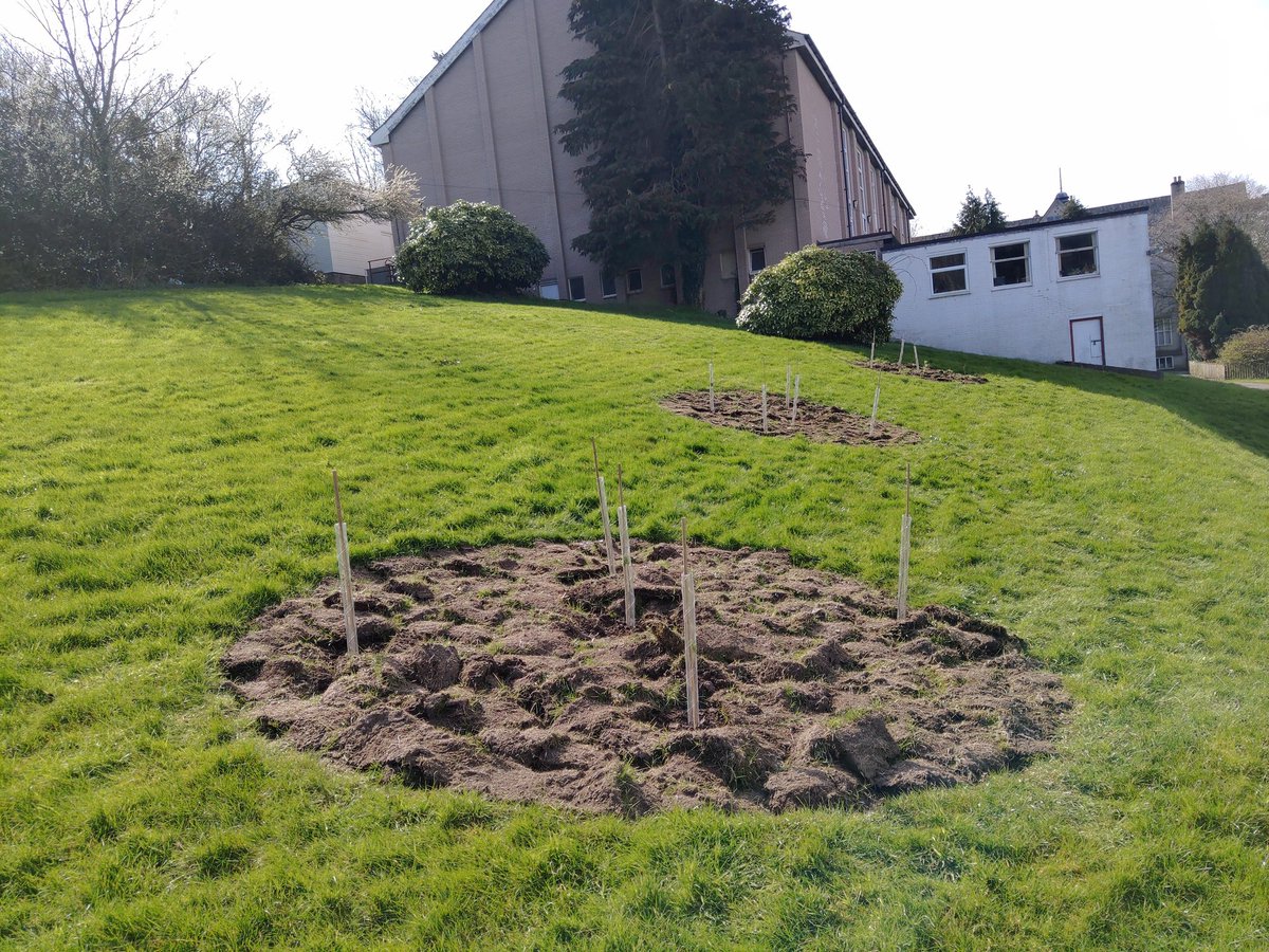 GROWBangor's tweet photo. Following the social distancing guidelines, myself and @TreborthBG planted our @WoodlandTrust trees today. 🌲 Looking forward to seeing them grow! https://t.co/ti8XQuy0Mk