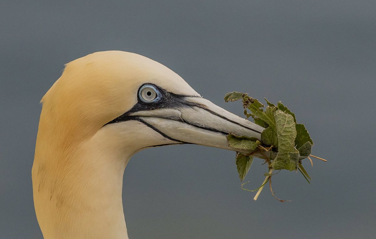 Micky_50's tweet image. 