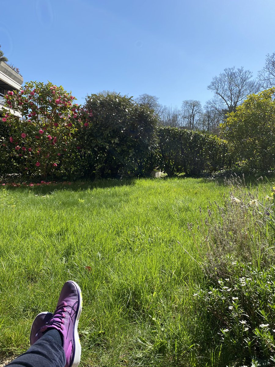 jaunysk's tweet photo. #skemafromhome #weareskema #lunchbreak  I cannot complain, really. https://t.co/R223zYTE0a