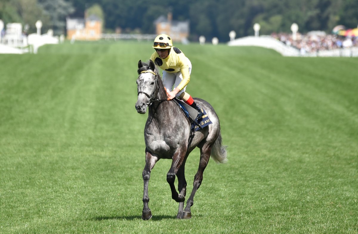 Ascot Racecourse tweet media