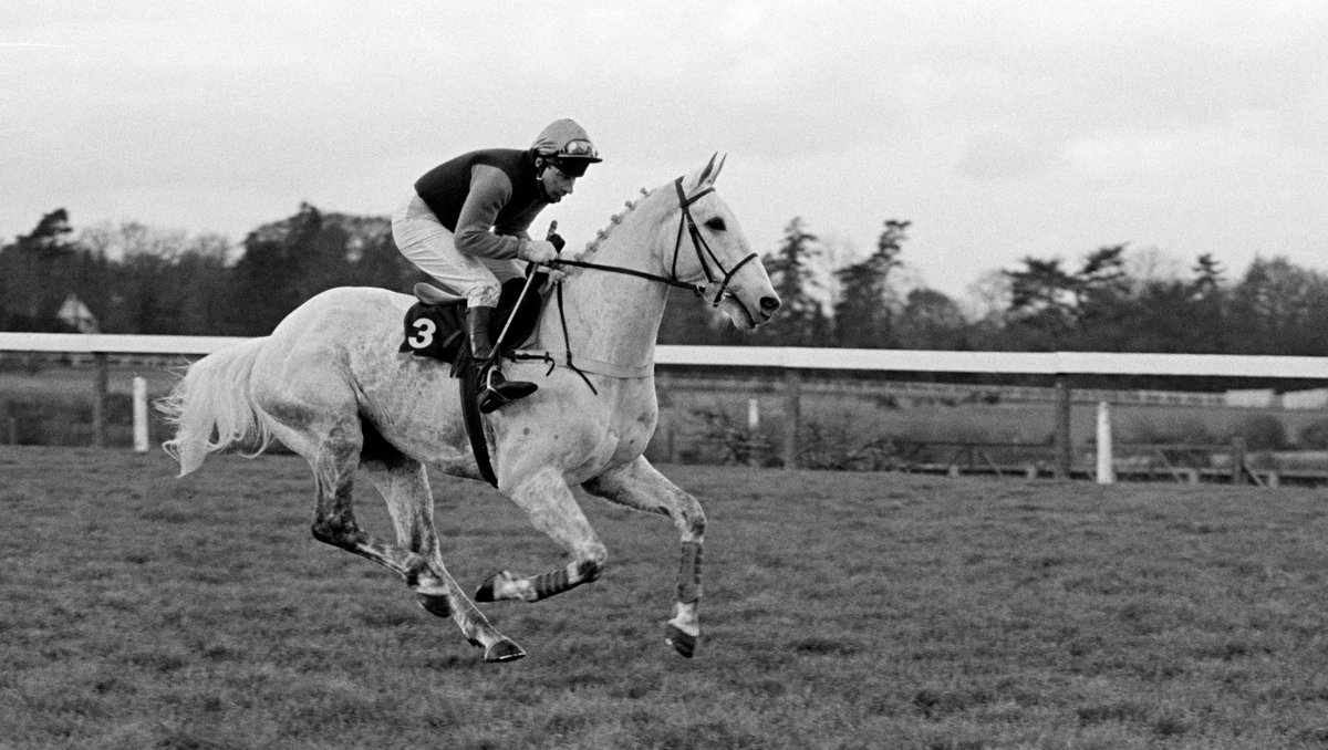 Ascot Racecourse tweet media