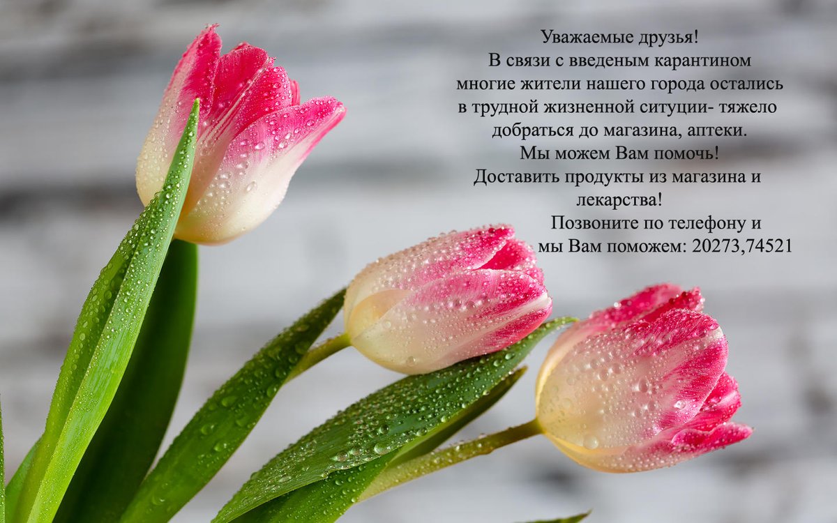ОГБУСО ЦСО Доверие (@cso_doverie37) on Twitter photo 