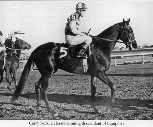 Racetrackheroes's tweet image. 37 years ago we had to say goodbye to Carry Back the Kentucky Derby and Preakness Stakes winner of 1961. He was also raked in blood horses magazine Top 100 racehorses of the 20th Century on place 83. He was intuduced to the US Racing Hall of Fame in 1975. #CarryBack