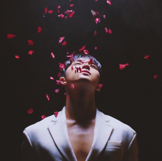 svtedits_17's tweet photo. #민규 #MINGYU 
#舞い落ちる花びら #Fallin_Flower https://t.co/KA2tGv1a1F