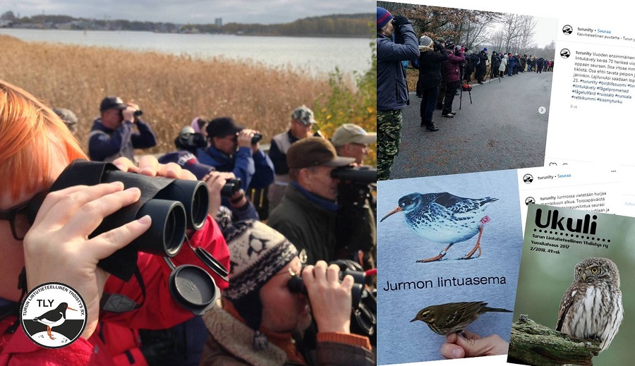 BirdLife Suomi tweet media