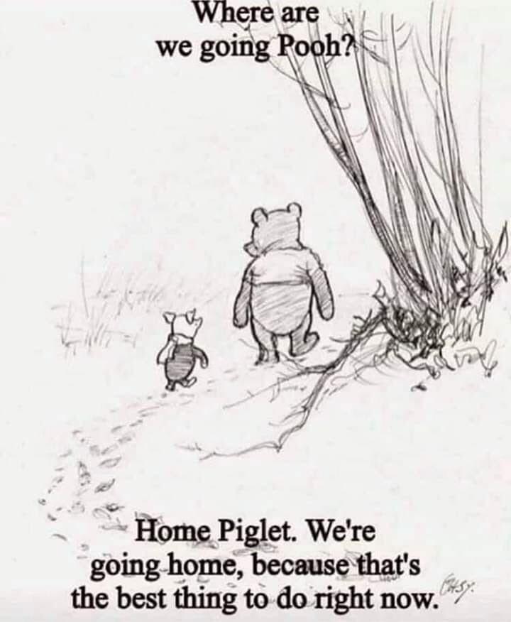 To all our students. What better a time to become a #Responsiblecitizen 

<a href="/forresterhs/">Forrester High</a> <a href="/ForresterBusEd/">ForresterBusiness</a> @fhs_elp <a href="/FHS_SocSub/">FHS Social Subjects</a> <a href="/FHS_CDT_HE/">FHS CDT</a> <a href="/FHS_English/">ForresterHighEnglish</a> <a href="/FHSComp/">FHS Computing</a> <a href="/forrestersport/">广州</a> <a href="/forresterhigh/">Pupil Support Team</a> <a href="/forries_science/">Forrester Science</a> @forrester_music <a href="/forrester_drama/">Forrester Drama</a> <a href="/forresterdance1/">forresterdance</a>