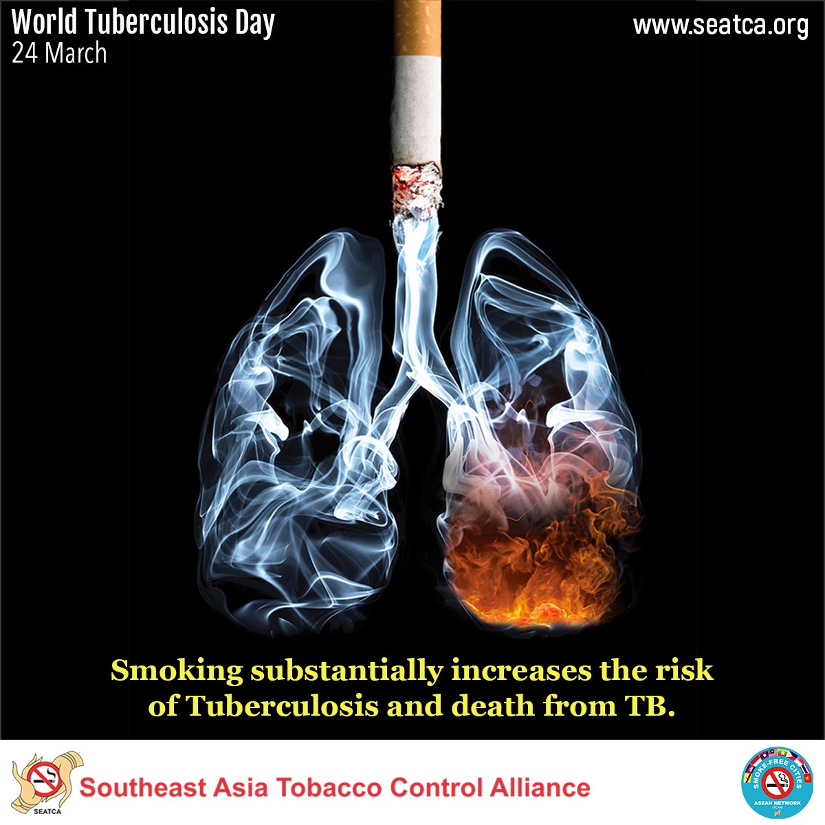 tobacco and tuberculosis It's time to #EndTB. Go smoke-free and avoid using any form of tobacco.  Quitting smoking and vaping also reduces your risks of serious lung disease  caused by COVID-19! #WorldTBDay #Tuberculosis #TB #COVID19 #